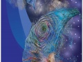 1°-Universo